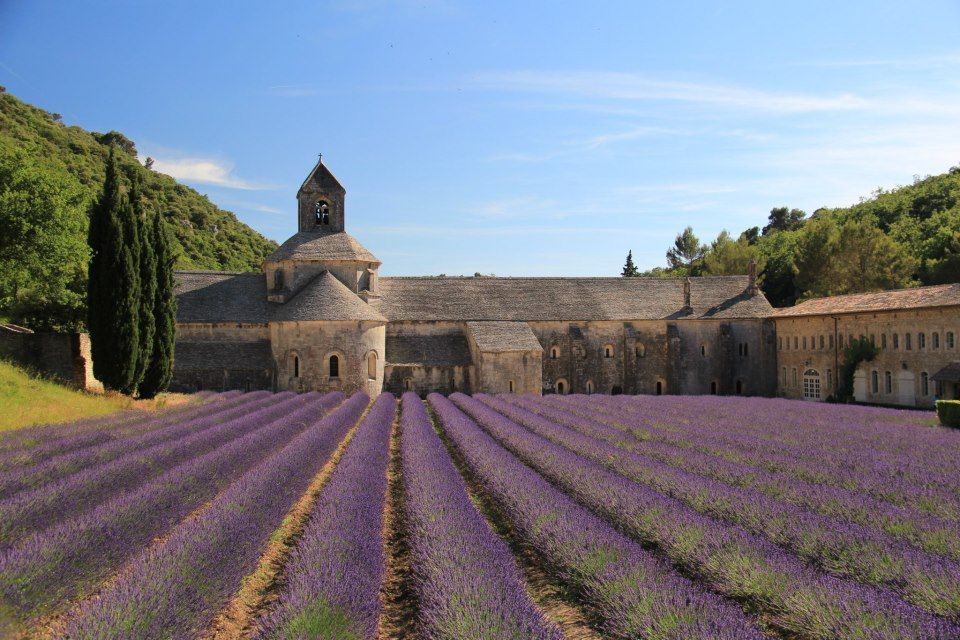 塞農克修道院 Abbalye de Senanque